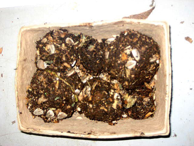Seed bombs, loaded with flowers and nutrient giving soil